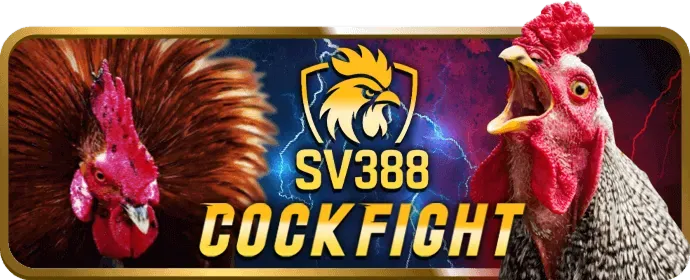 Nền tảng đáng tin cậy tin99 win